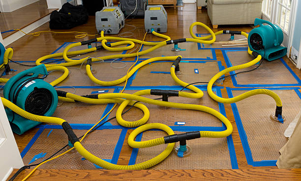 Professional Basement Flood Cleanup technician working in Orondo, WA